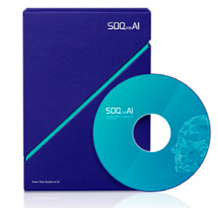 비투엔 'SDQ 포 AI'